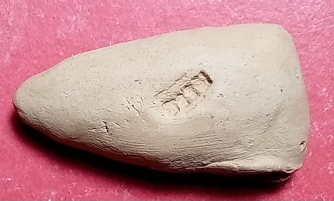 20250405_235010.jpg