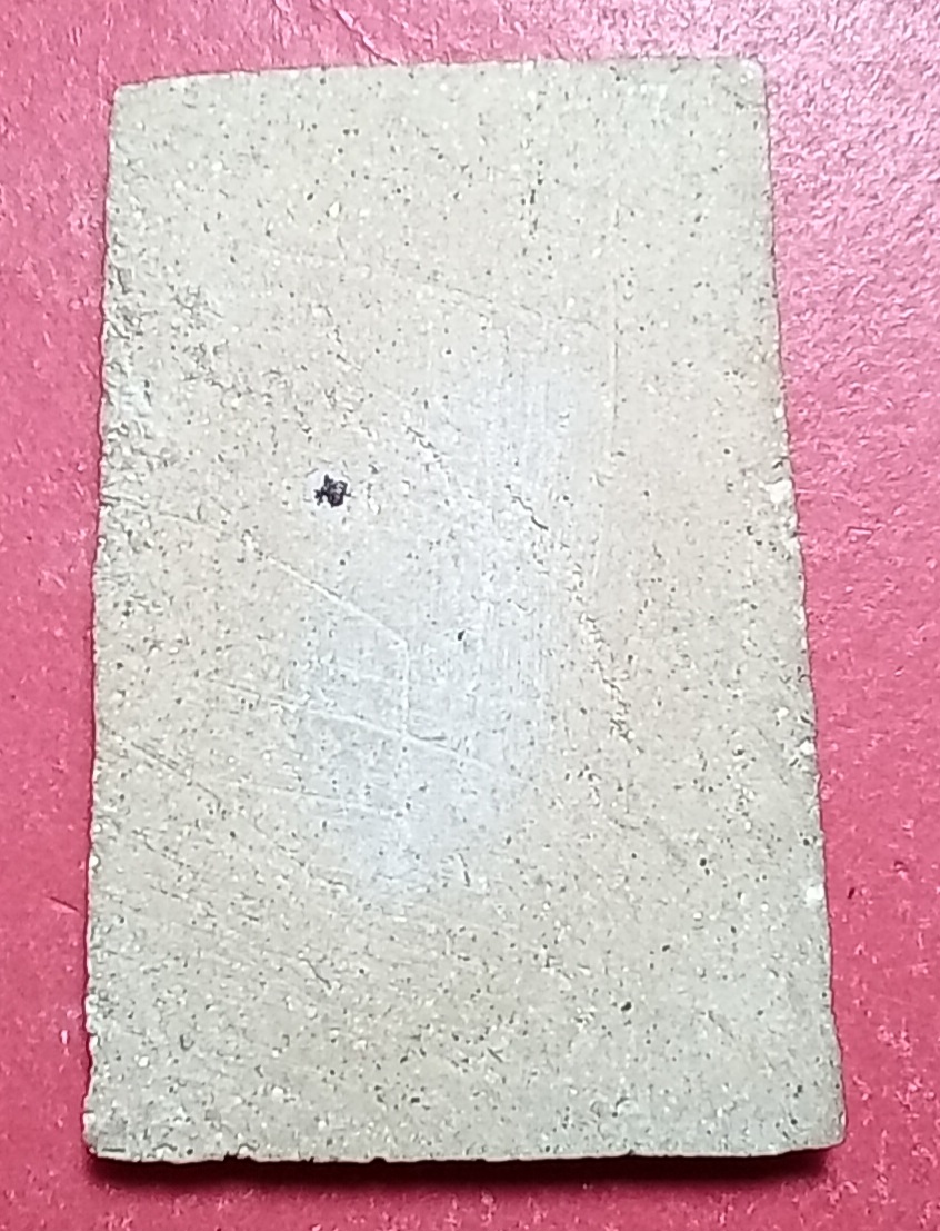 20250407_135602.jpg