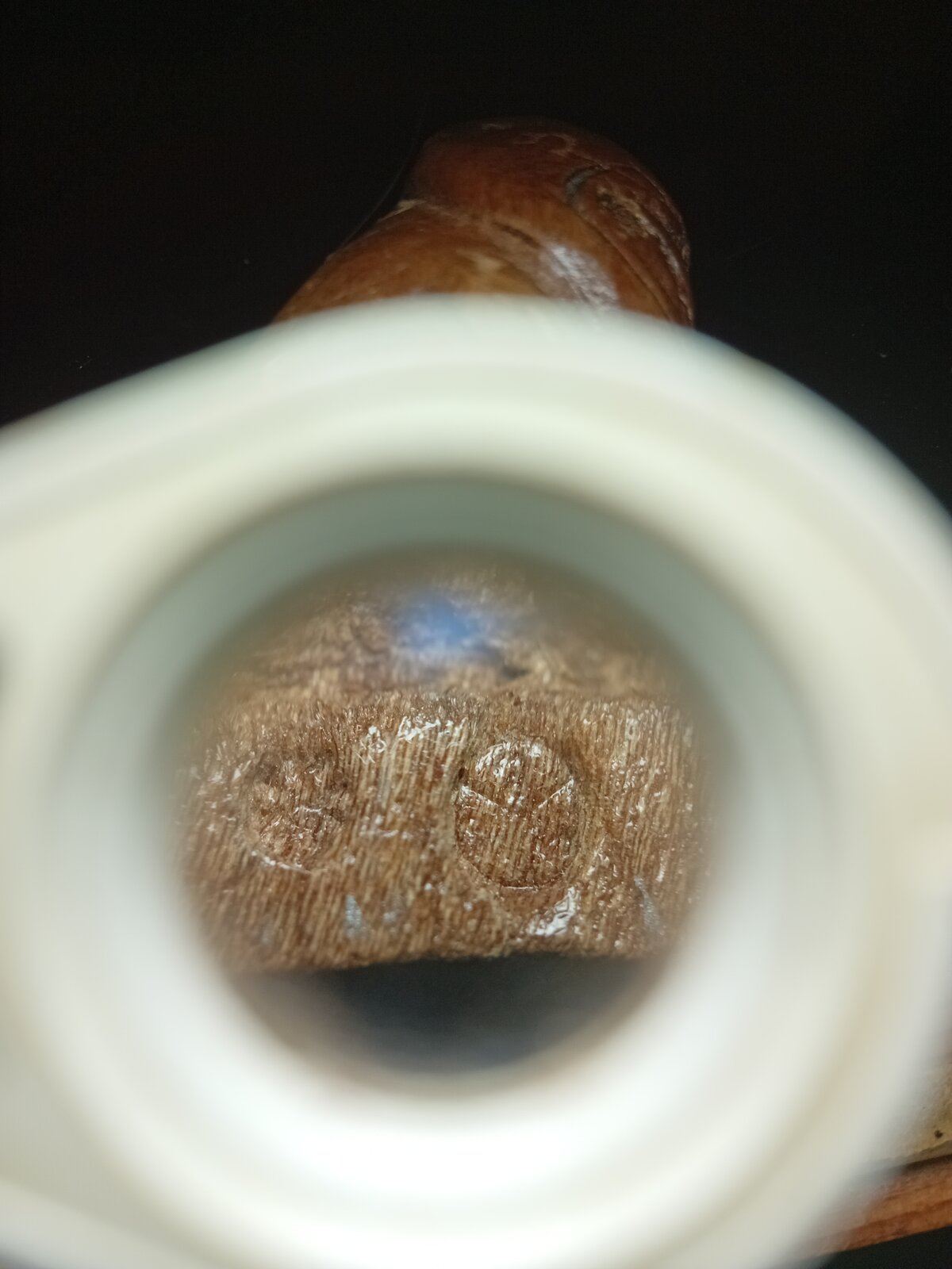 20250729_172422.jpg