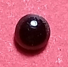 20250814_102421.jpg