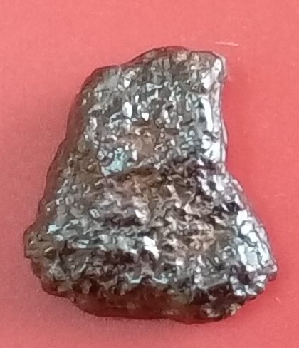 20250814_131831.jpg