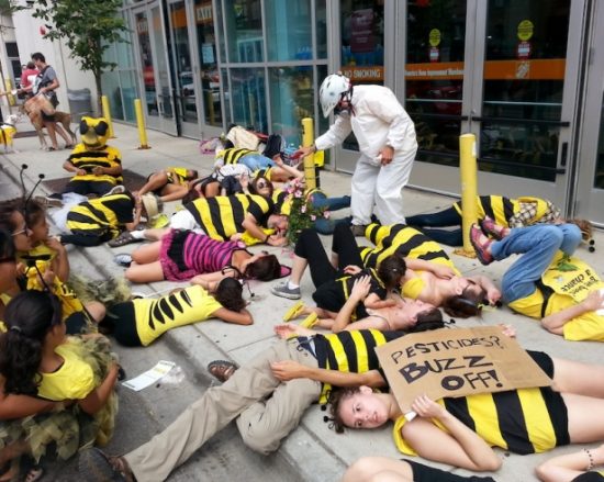 Chicago_bee_die-in-e1513867274170.jpg