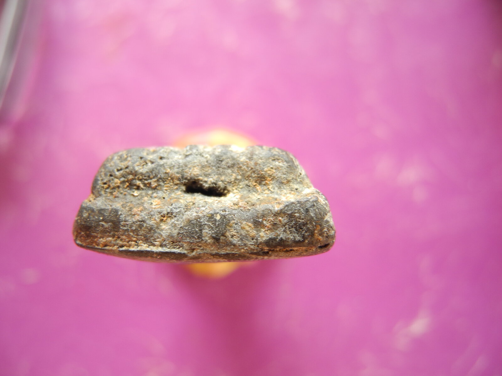 dscn0100-jpg.jpg