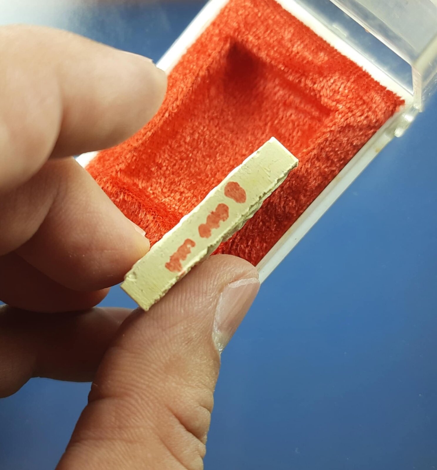 eae482ec-8db9-4617-8303-5fdf99139461-jpg.jpg