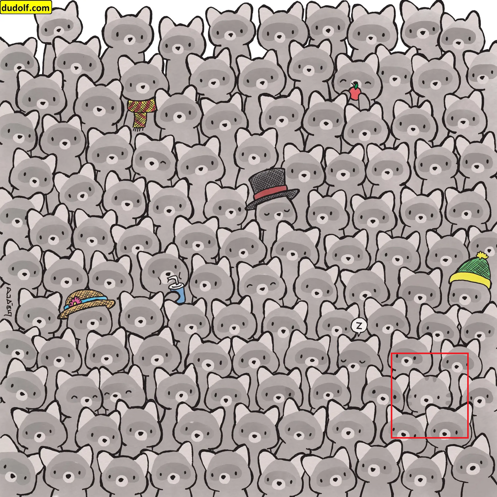 find the cat.png