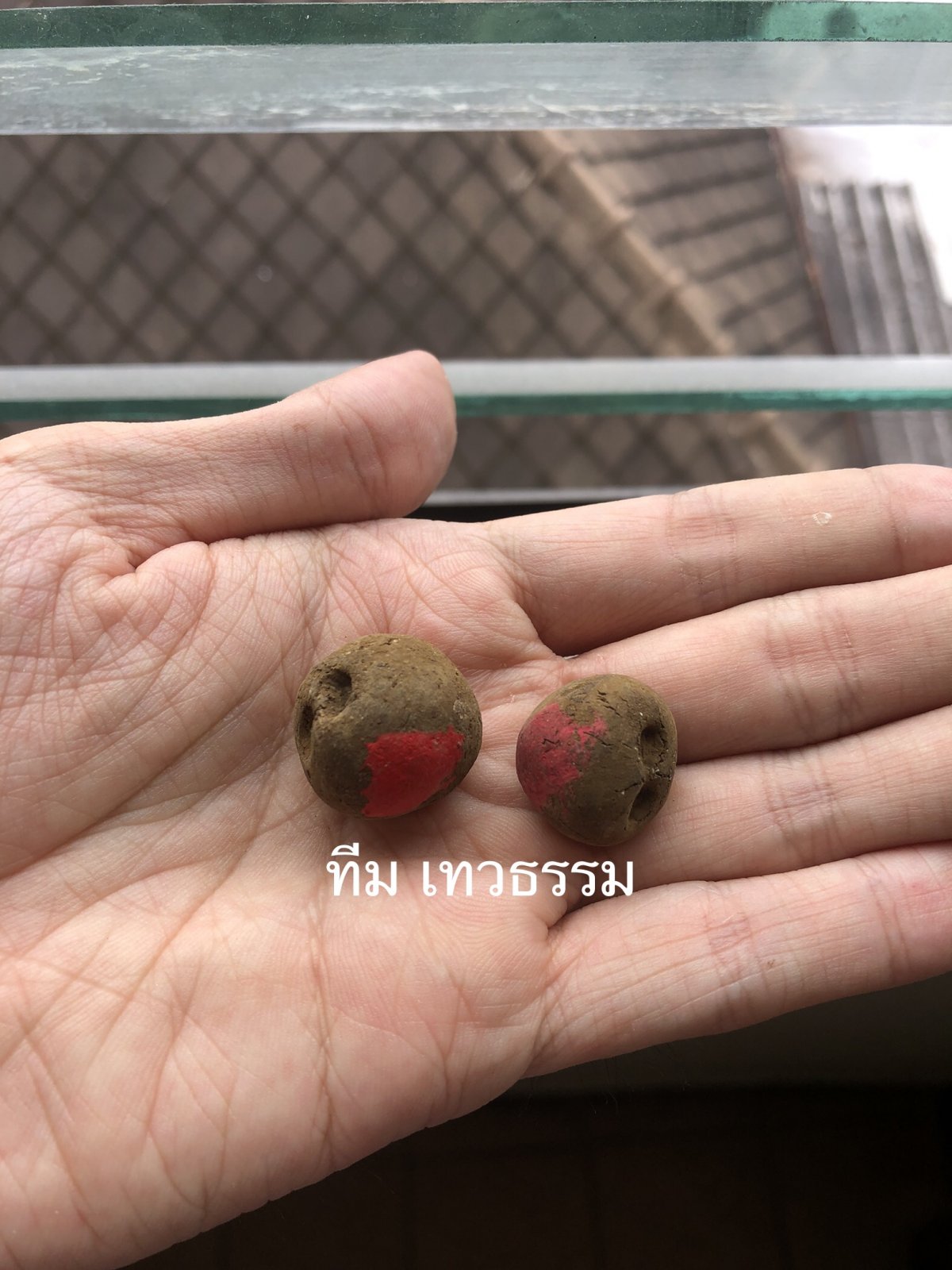 IMG_6389.jpeg